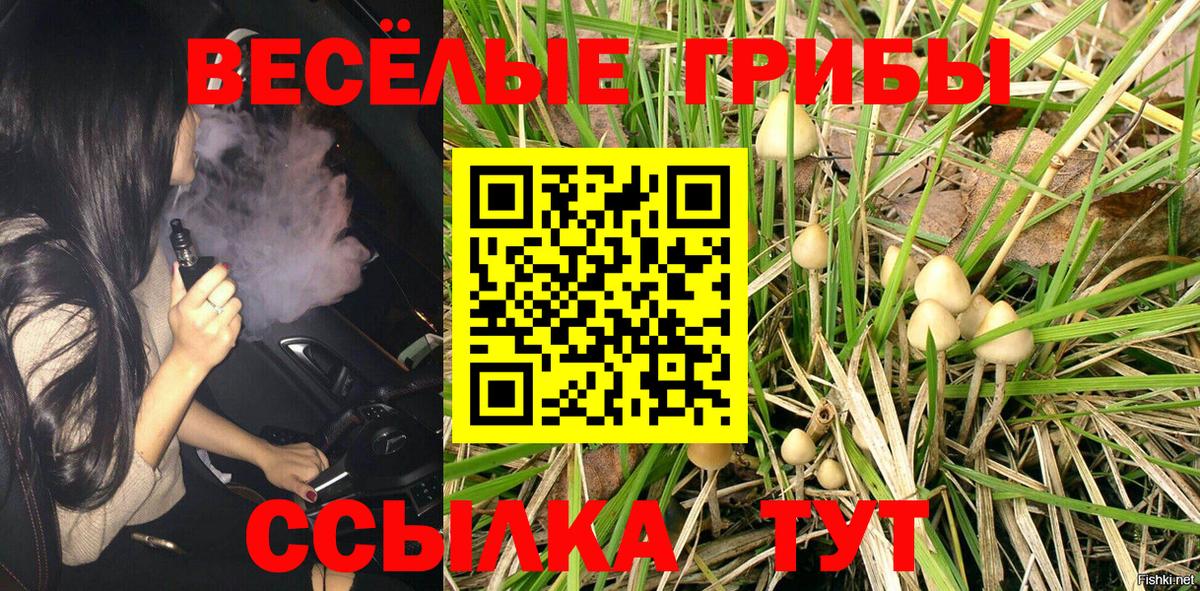 Галлюциногенные грибы Psilocybine cubensis  Вход с VPN  Гуково 